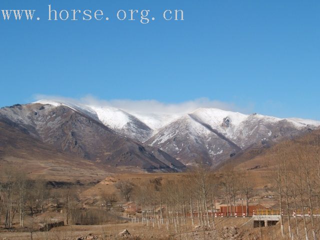 [贴图]今日上坝赏美景