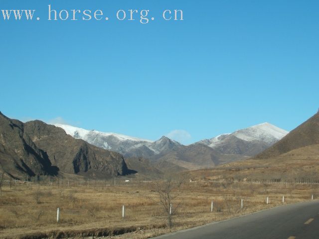 [贴图]今日上坝赏美景