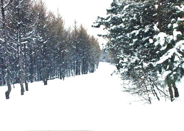 [贴图] 风雪大练兵（二）