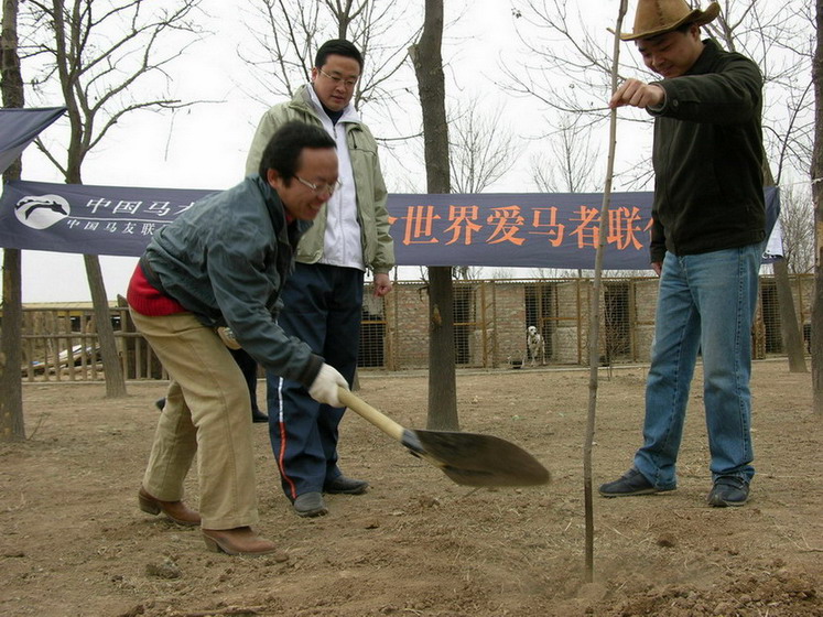 贺津门分舵之植树篇