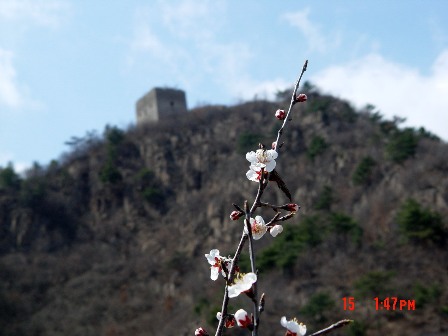 ４月１４日－１６日野长城之旅