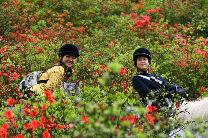 五一纵马入花海，陶醉中......