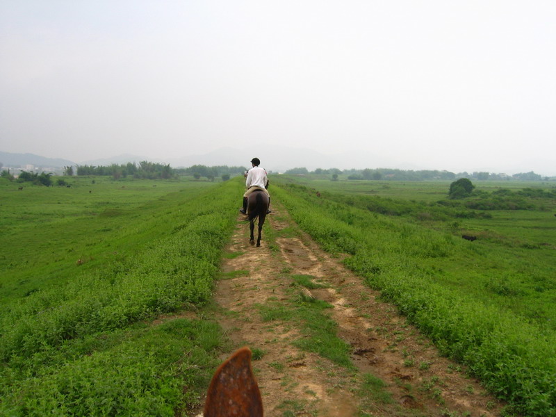 东江大堤探路行2