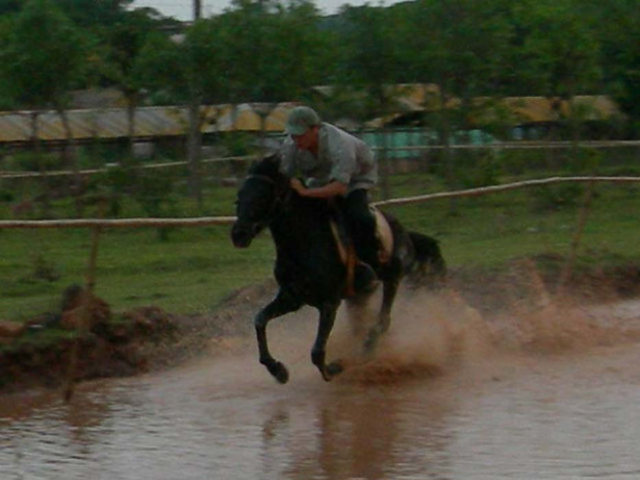 水上飘！