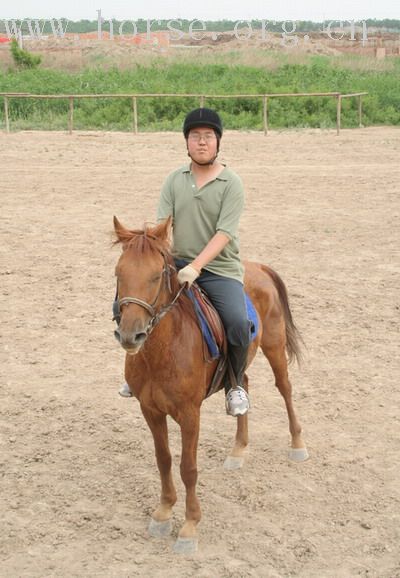 贺：津门骠骑军成立100天庆祝活动圆满结束（6月19日18：39分更新）