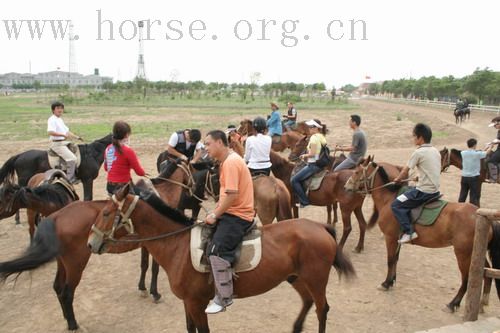 贺：津门骠骑军成立100天庆祝活动圆满结束（6月20日7：32分更新）帅哥、美女、骏马