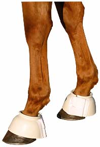 [求助]有关马匹追蹄的调教方法