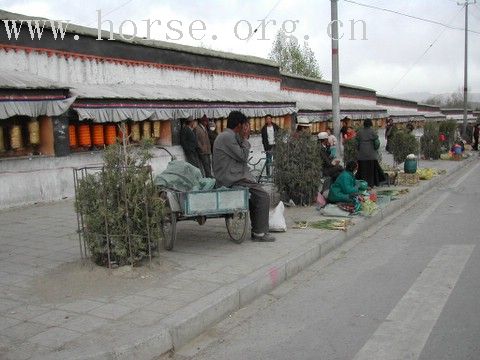 西藏街景