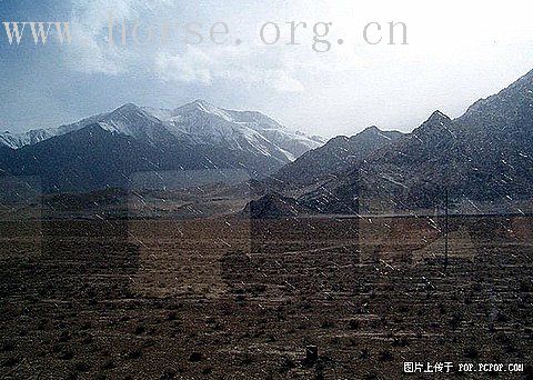 收集网络素材并整理：青藏铁路详细资料