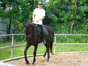 Vincent 東莞學馬記（二）