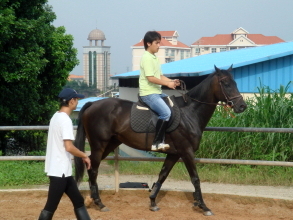 Vincent 東莞學馬記（二）