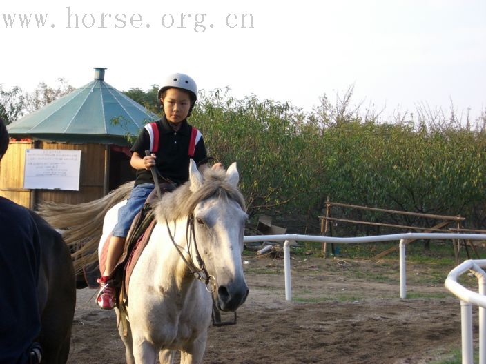 [贴图]乐乐骑白马