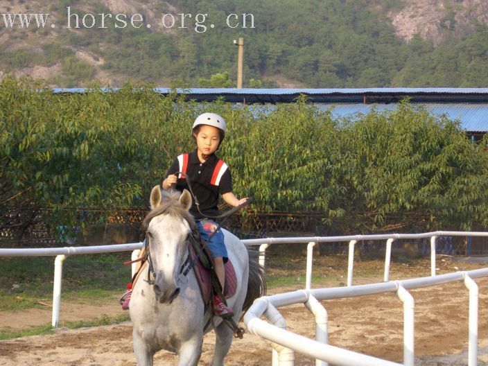 [贴图]乐乐骑白马