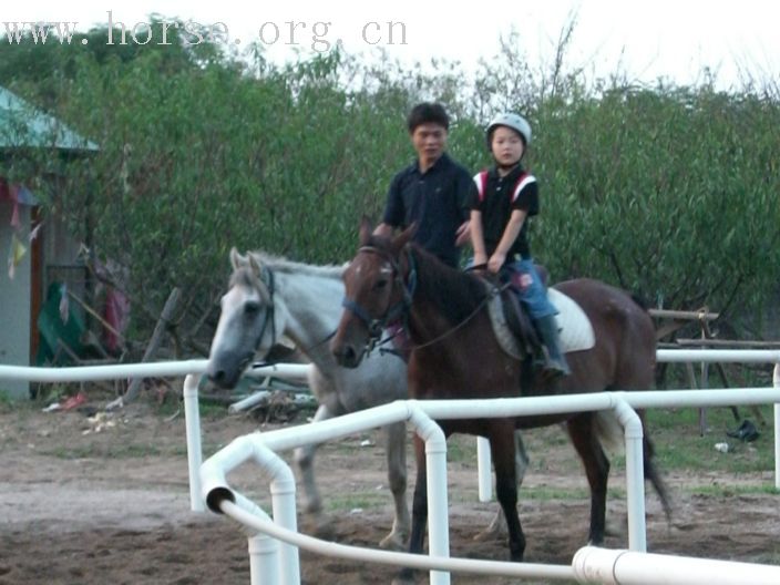 [贴图]乐乐骑白马