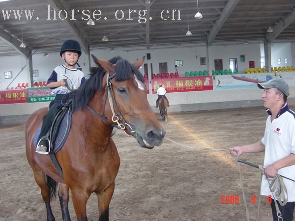 暑假千跳万选《燕龙》学习马术