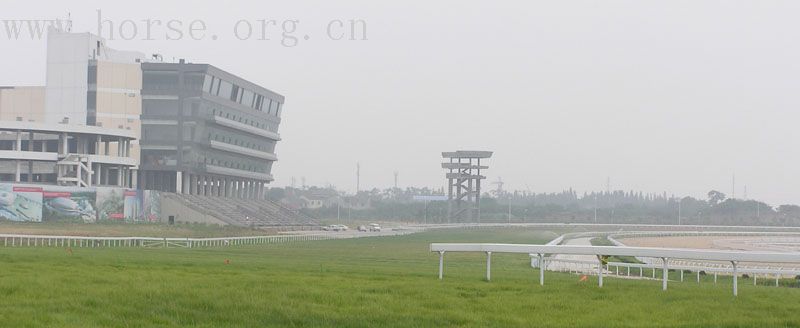 南京国际赛马场，向大家问好