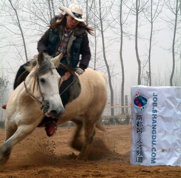 晓战随金鼓－－中国马友新年赛马大会决赛pp