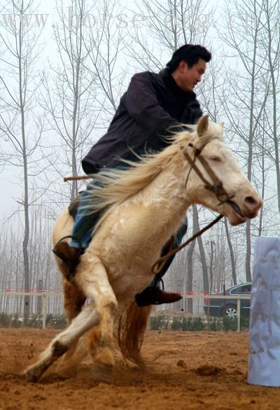 晓战随金鼓－－中国马友新年赛马大会决赛pp