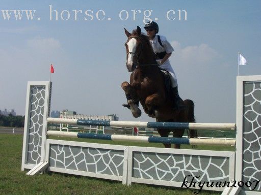 2006年11月國際馬聯挑戰盃障礙賽【台灣區】