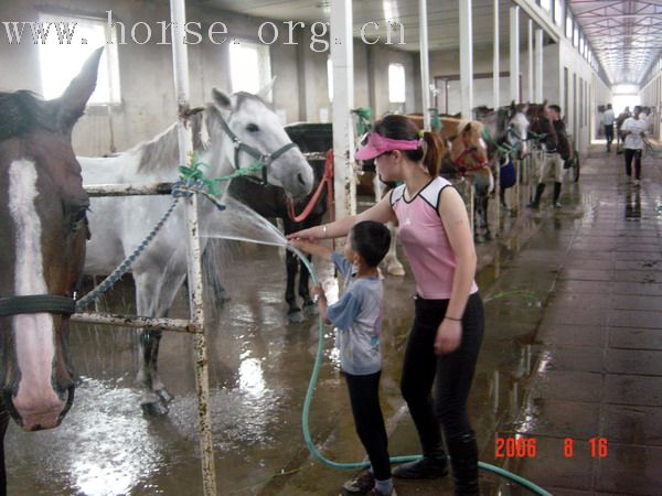 看看宋钰的马术老师.....