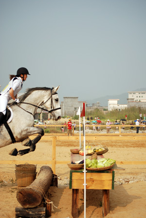 2007年全馬術(三項賽)錦標賽 - 比賽中