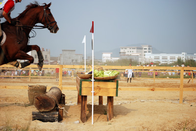 2007年全馬術(三項賽)錦標賽 - 比賽中