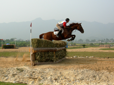 2007年全馬術(三項賽)錦標賽 - 比賽中