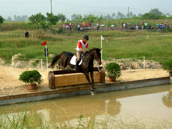 2007年全馬術(三項賽)錦標賽 - 比賽中