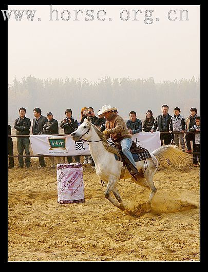 大兴骑士节 贴图