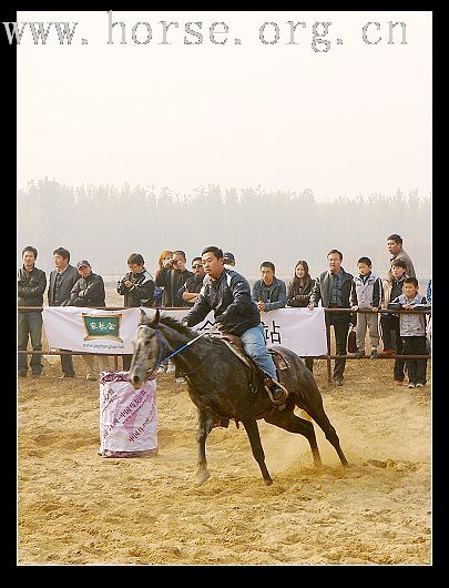 大兴骑士节 贴图