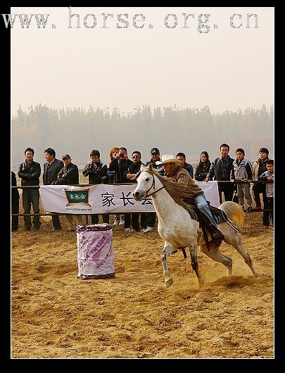 大兴骑士节 贴图