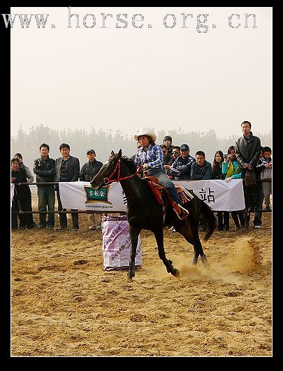 大兴骑士节 贴图