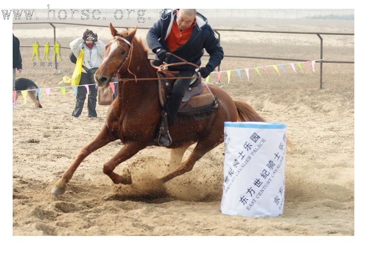 《桶~~我来了》大兴骑士节(今日更新来领自己照片吧)