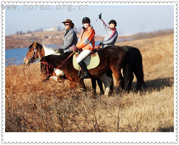 [贴图]周末（12月15日,周六）骑马照片