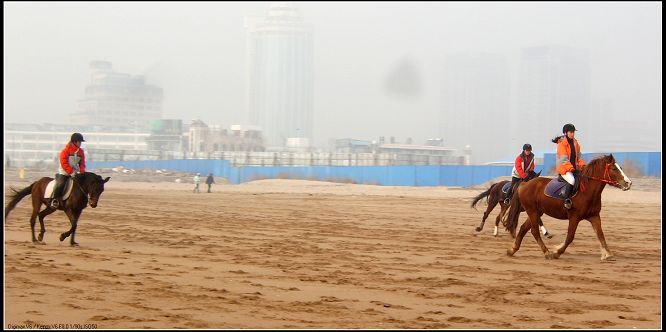 12月23号---舞动的海----凤凰马术沙滩马友大联欢组织中.....