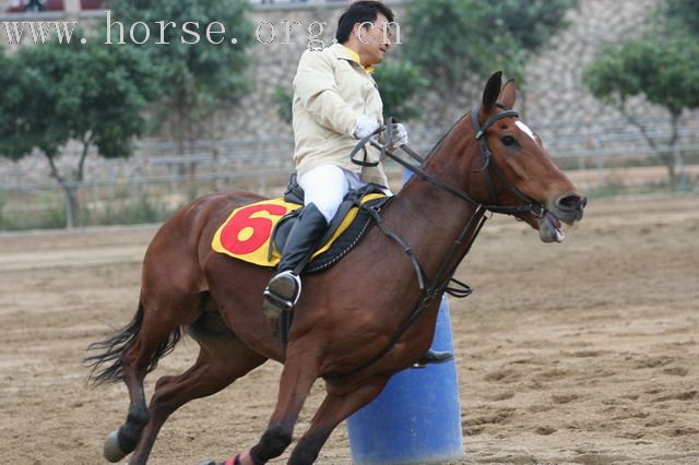 [贴图]071223深圳育马山庄：绕桶及速度赛