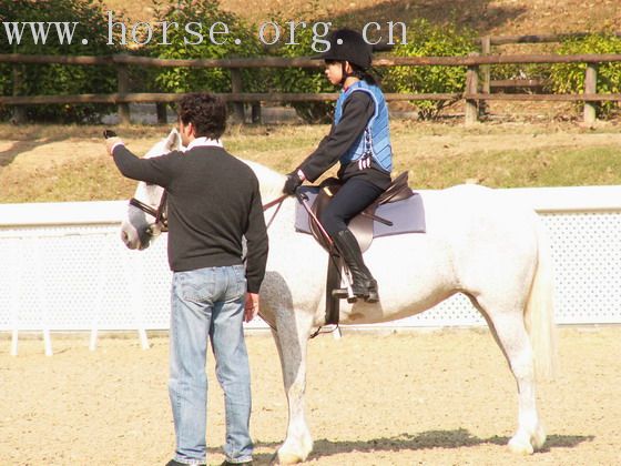 一個在雙魚河的傳統的馬友聚會 ~ BOXING DAY MEET