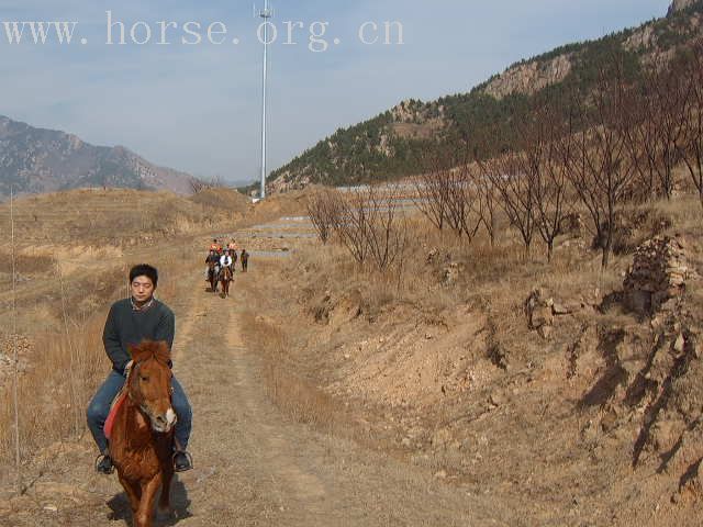 邀请马盟的马友们青岛野骑踏青------本活动由青岛风凰山庄赞助支持!