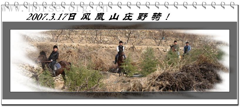 邀请马盟的马友们青岛野骑踏青------本活动由青岛风凰山庄赞助支持!