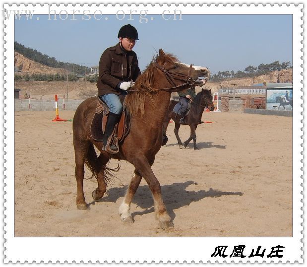 邀请马盟的马友们青岛野骑踏青------本活动由青岛风凰山庄赞助支持!