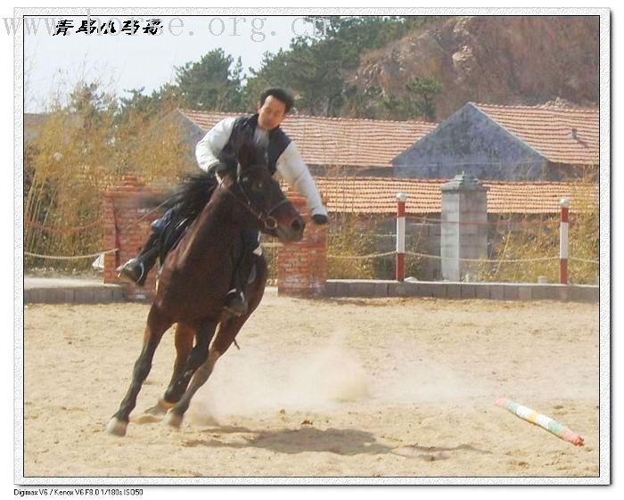 邀请马盟的马友们青岛野骑踏青------本活动由青岛风凰山庄赞助支持!