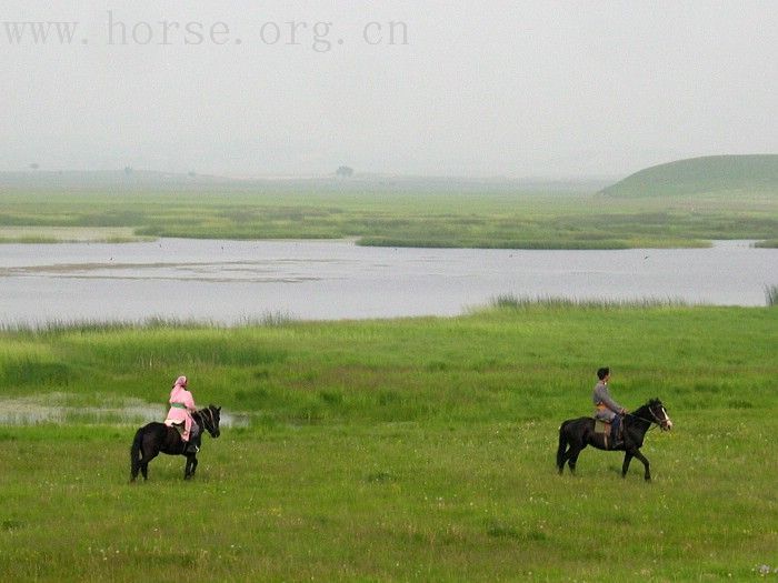 邀请马盟的马友们青岛野骑踏青------本活动由青岛风凰山庄赞助支持!