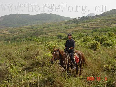 找赞助伙伴骑马逛中国带动国人马上运动风气,小赞助大义举谁才更真!