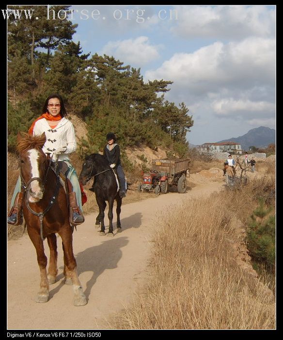 邀请马友青岛骑马踏青去---本活动由青岛风凰山庄赞助支持!