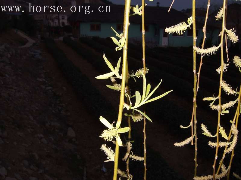 20070407青岛野骑踏青归来---照片连续更新中