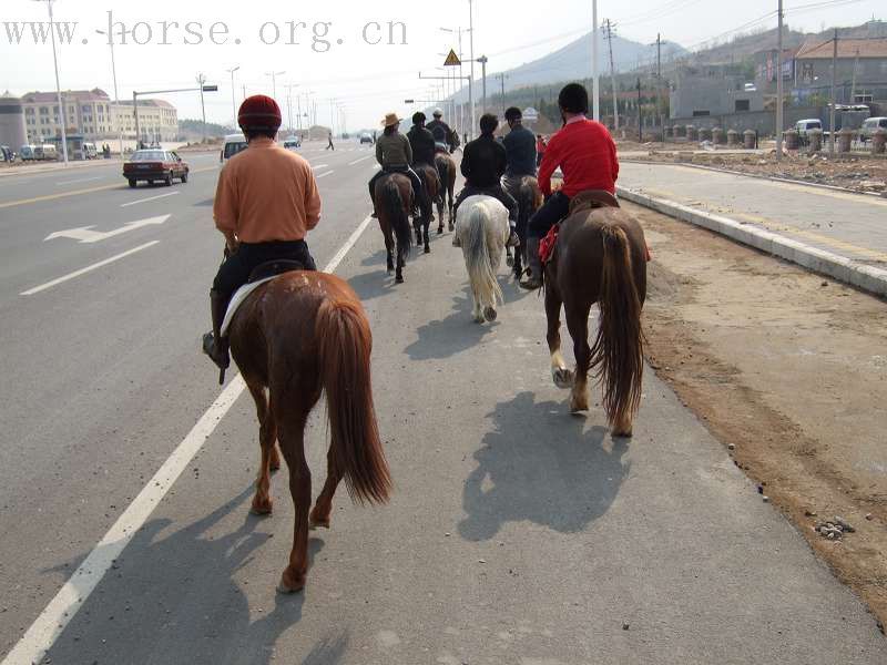 20070407青岛野骑踏青归来---照片连续更新中