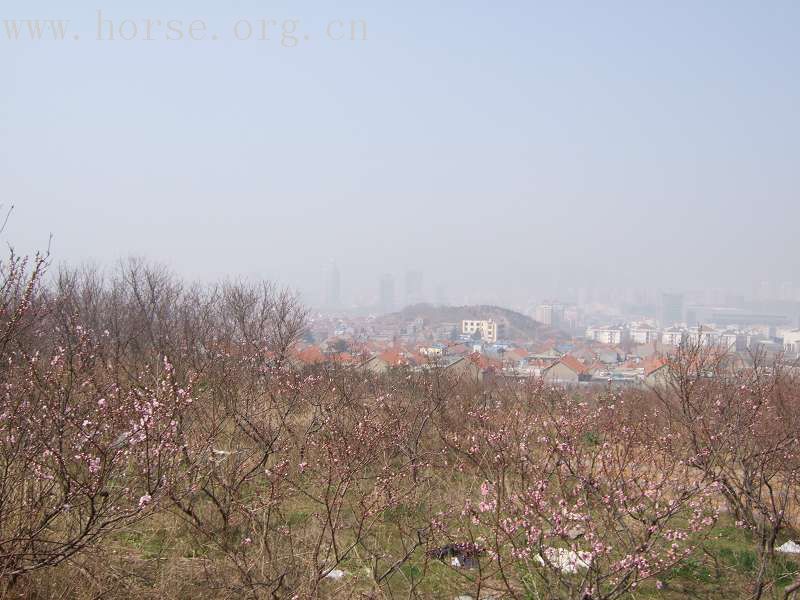 20070407青岛野骑踏青归来---照片连续更新中