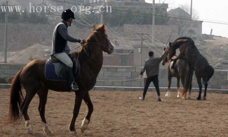 20070407青岛野骑踏青归来－最新照片更新