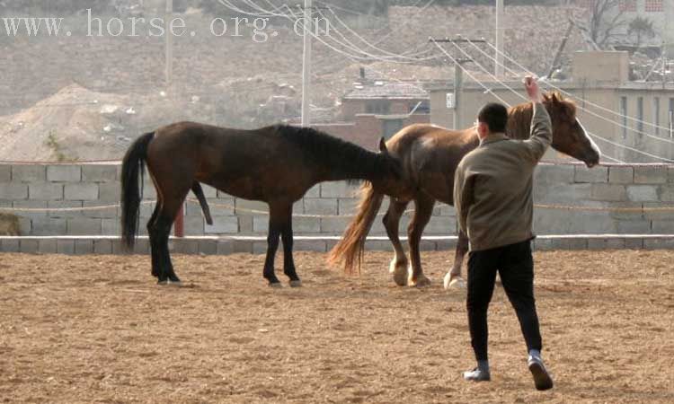 20070407青岛野骑踏青归来－最新照片更新