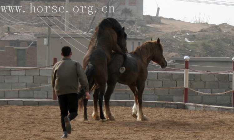 20070407青岛野骑踏青归来－最新照片更新